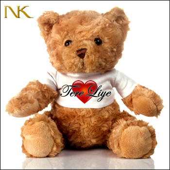 #product tere liye teddy front